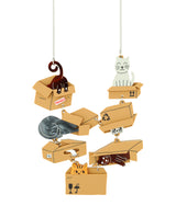 A Box is a Cat's Best Friend Necklace