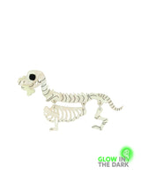 Bones, my Cute Skeleton Dog Brooch -Glow in the Dark-
