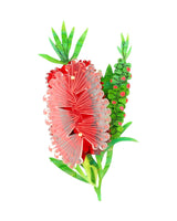 Crimson Bottlebrush Bloom Brooch