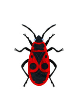 Firebug Pattern Brooch