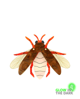 Glowing Firefly Brooch -Glow in the dark-