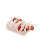 Living In Our Anemone Brooch