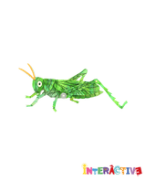 Meadow Grasshopper Brooch -Interactive-