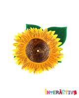 Searching for the Sun Brooch -Interactive-