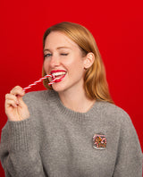 Seasonal Treat Stash Brooch -Interactive-