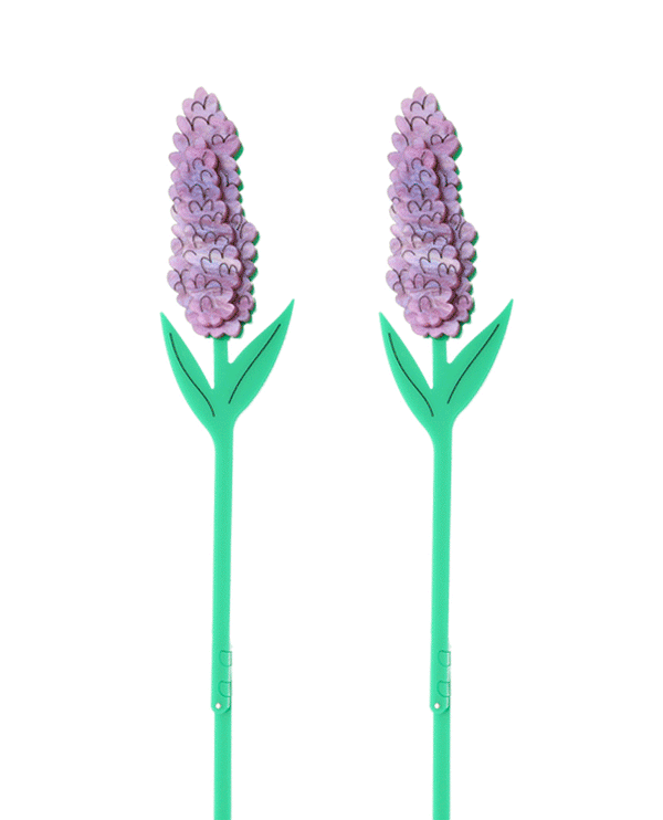 Two Pretty Flowers Acrylic Decor