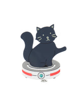 Kitty helping with Housework Brooch