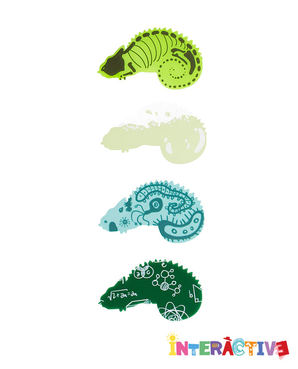 Science Inserts for Chameleon Necklace