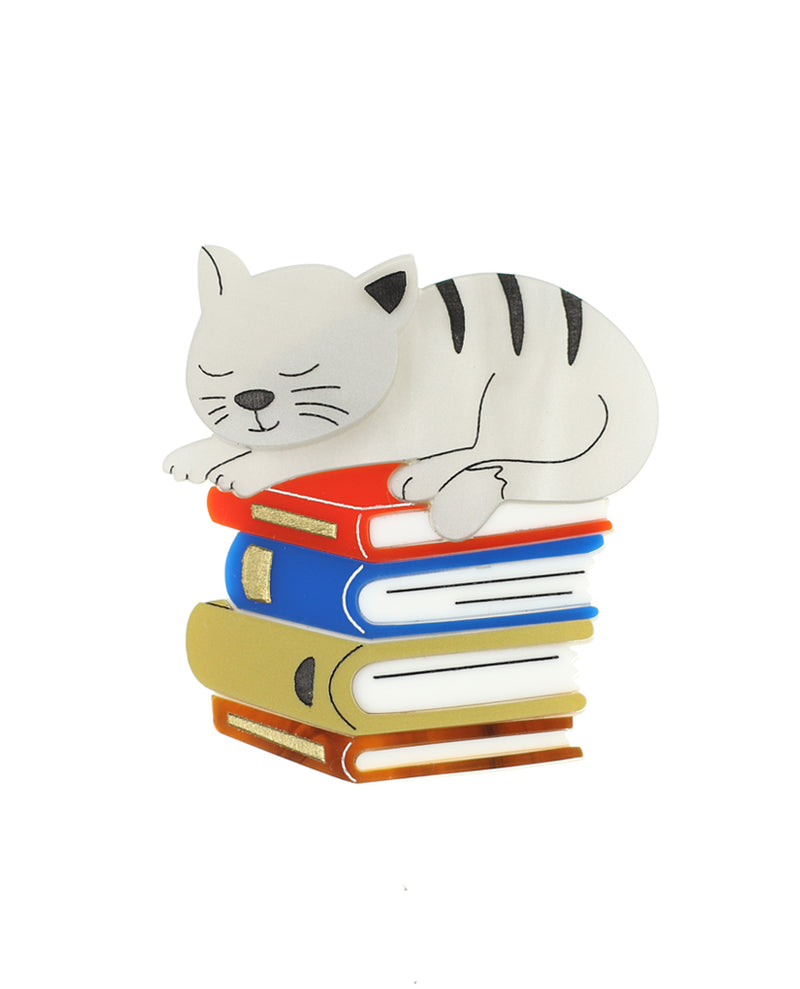 Cat sleeping on books brooch