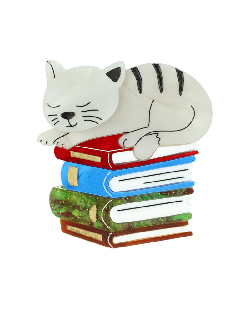 Cat sleeping on books Essentials brooch