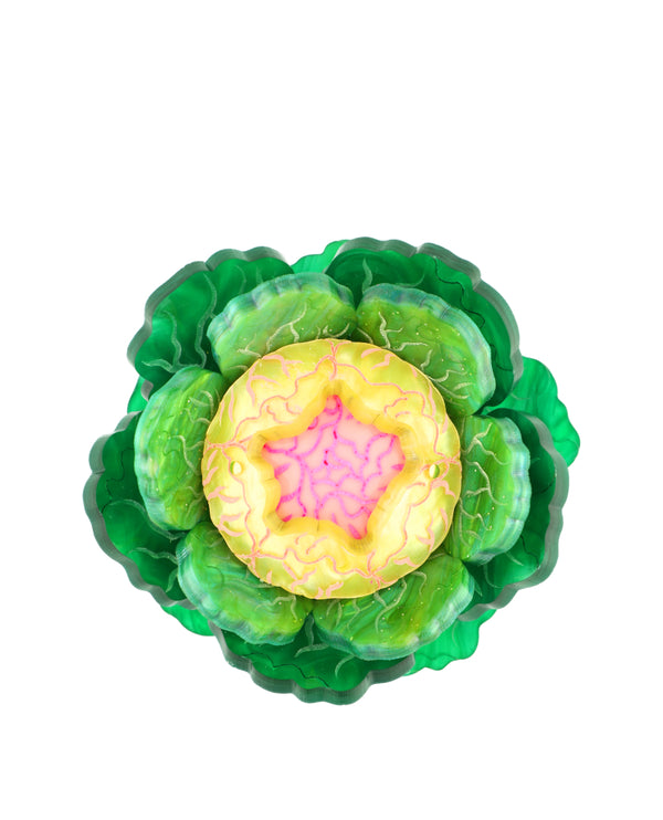 Flowering Cabbage Beauty Brooch