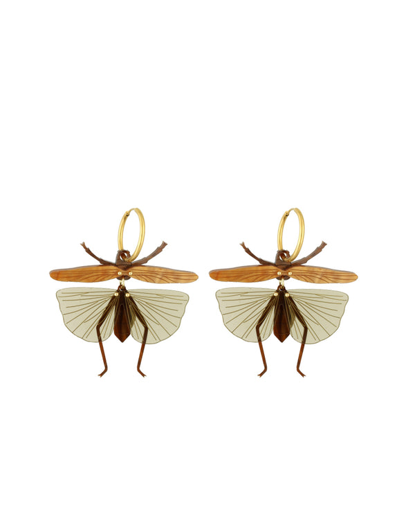 Flying Stick Insect Earrings