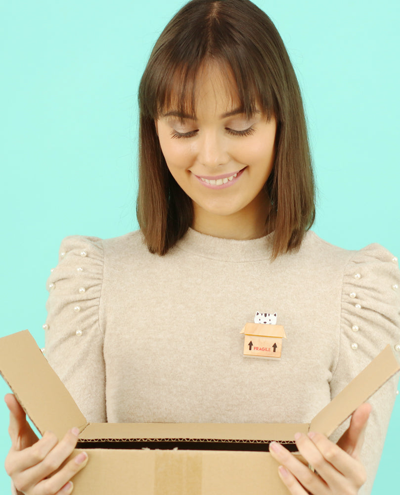 Hiding cat brooch