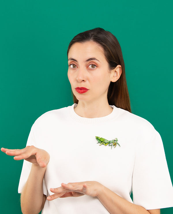 Praying Mantis Camouflage Brooch