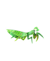 Praying Mantis Camouflage Brooch
