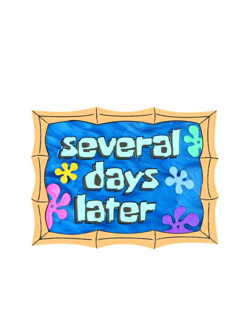 Several Days Later Brooch