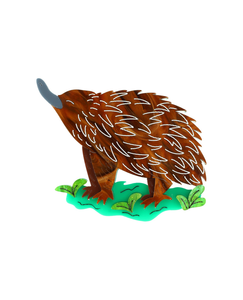 Spiky Echidna Brooch