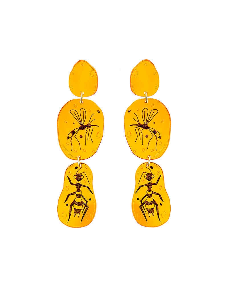Amber fossil Earrings