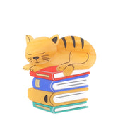 Cat-sleeping-on-Royals-books-brooch-classic-la-vidriola-advent-calendar-2020-detail