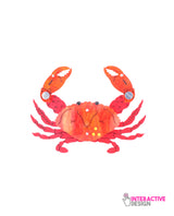 Crab’s got my Finger! Statement Brooch -interactive-