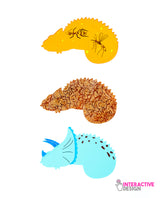 Pack Jurassic Inserts for Chameleon Necklace