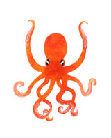 Octopus-orange-brooch-classic-la-vidriola-detail