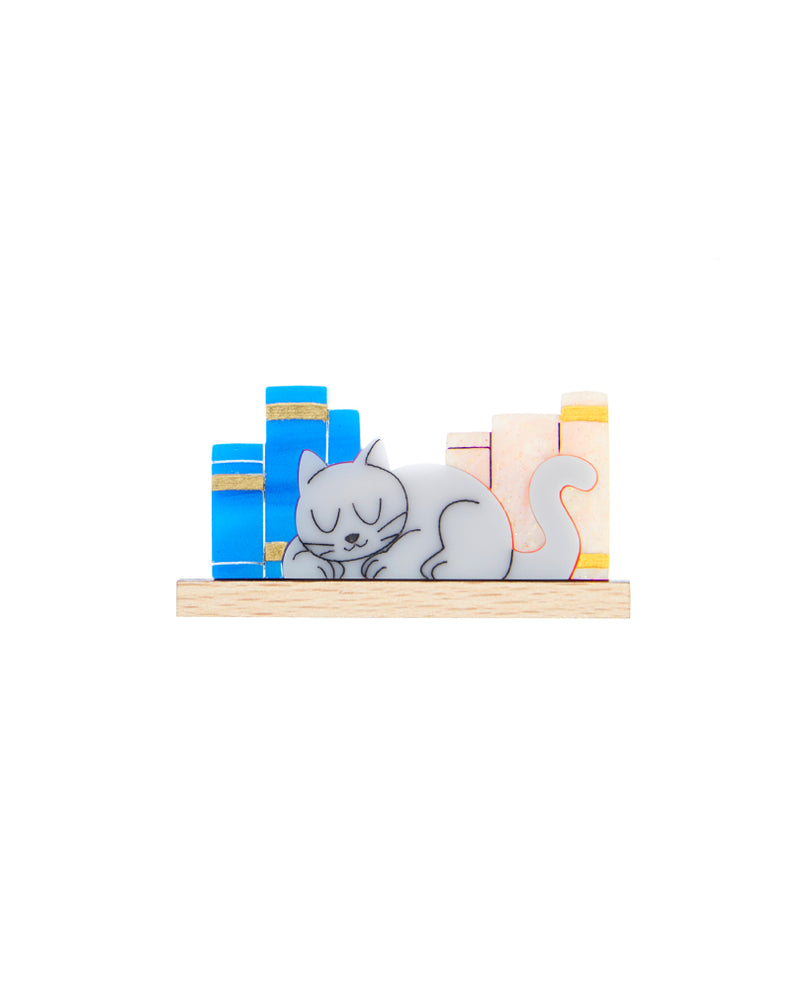 Sleepy Bookshelf Cat Brooch
